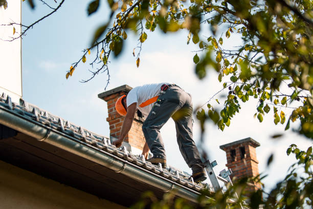 Trusted Wakefield, NE Roofing Contractor Experts