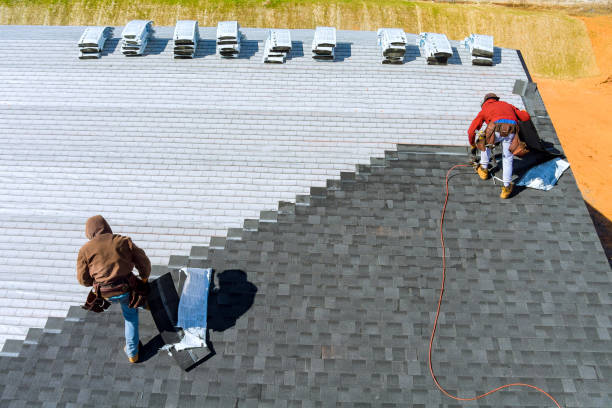 Best New Roof Installation  in Wakefield, NE
