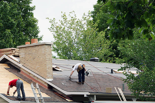 Roof Gutter Cleaning in Wakefield, NE