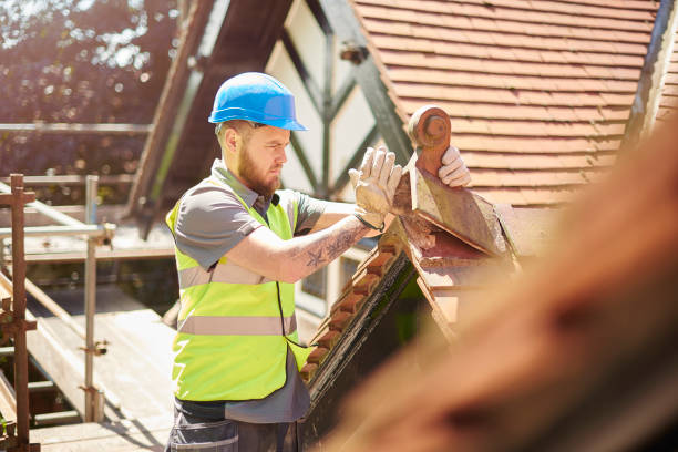 Best New Roof Installation  in Wakefield, NE