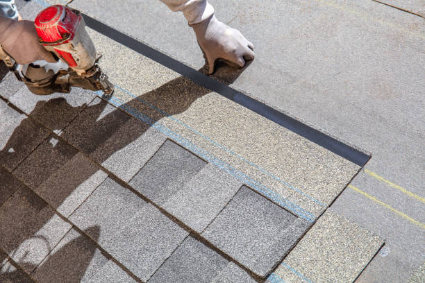 Best Shingle Roofing Installation  in Wakefield, NE